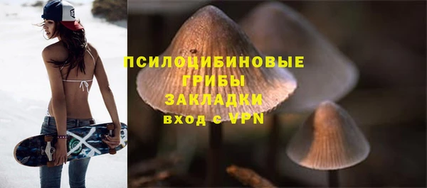 прущий лед Елизово