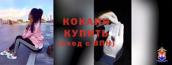спайс Ельня