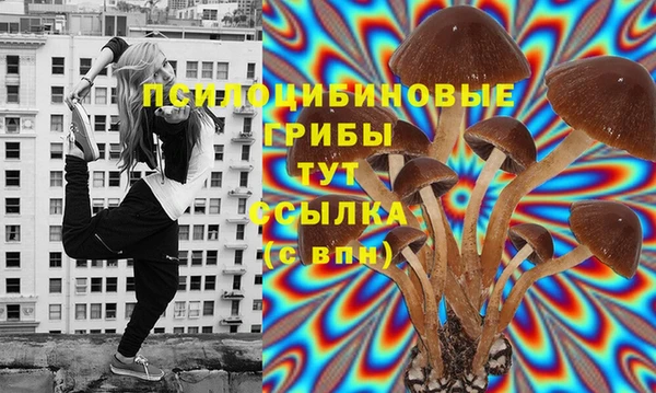прущий лед Елизово