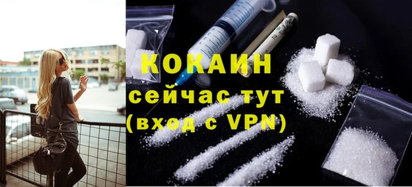 спайс Ельня