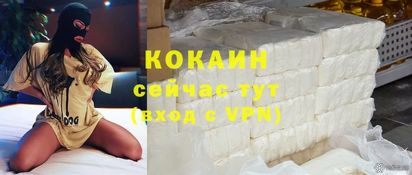 спайс Ельня