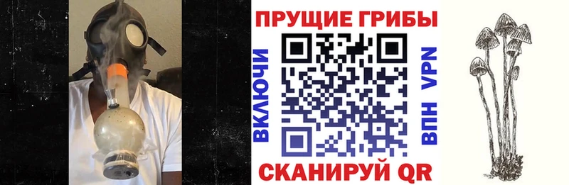 Галлюциногенные грибы прущие грибы  Купить где  Мантурово 
